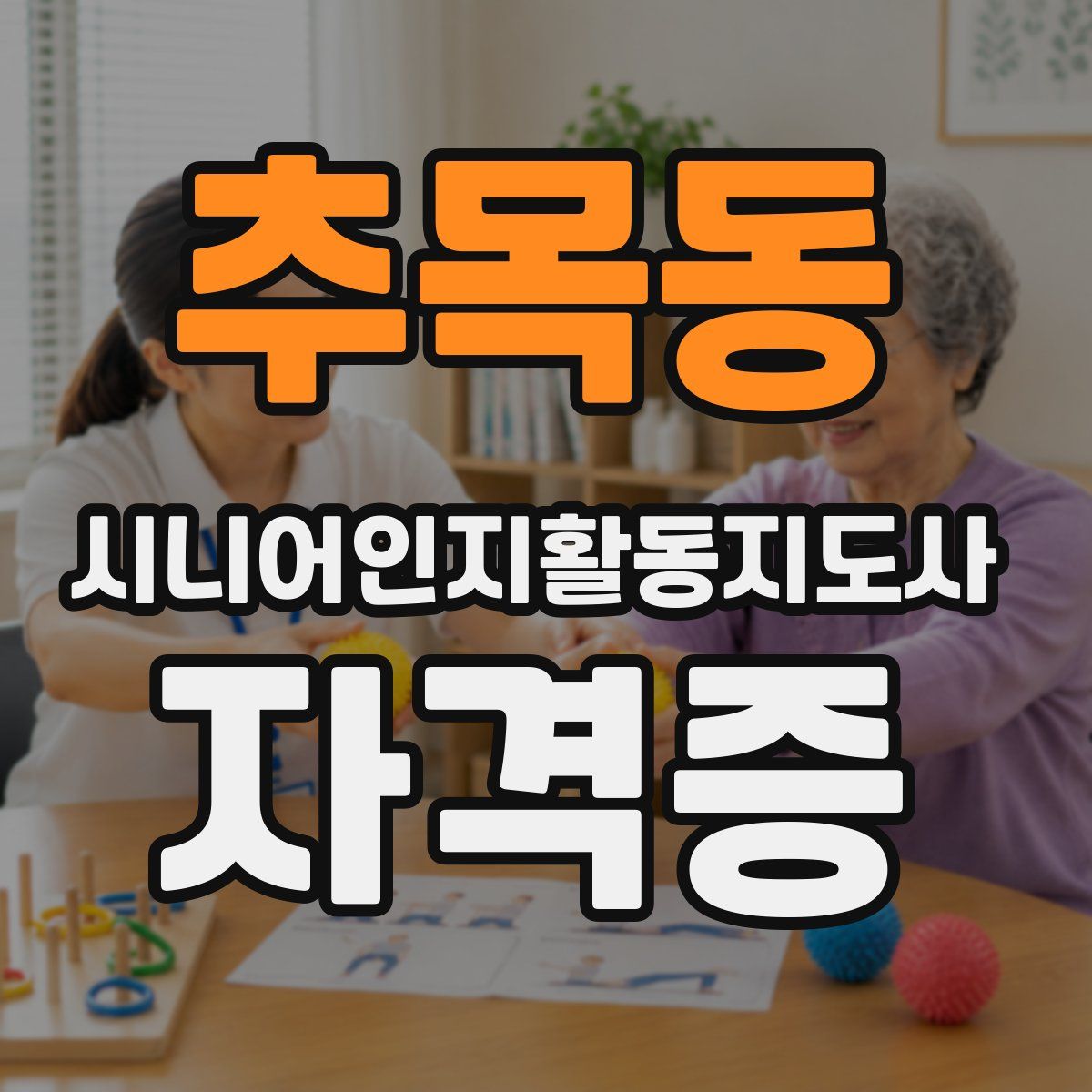 추목동 시니어인지활동지도사 자격증