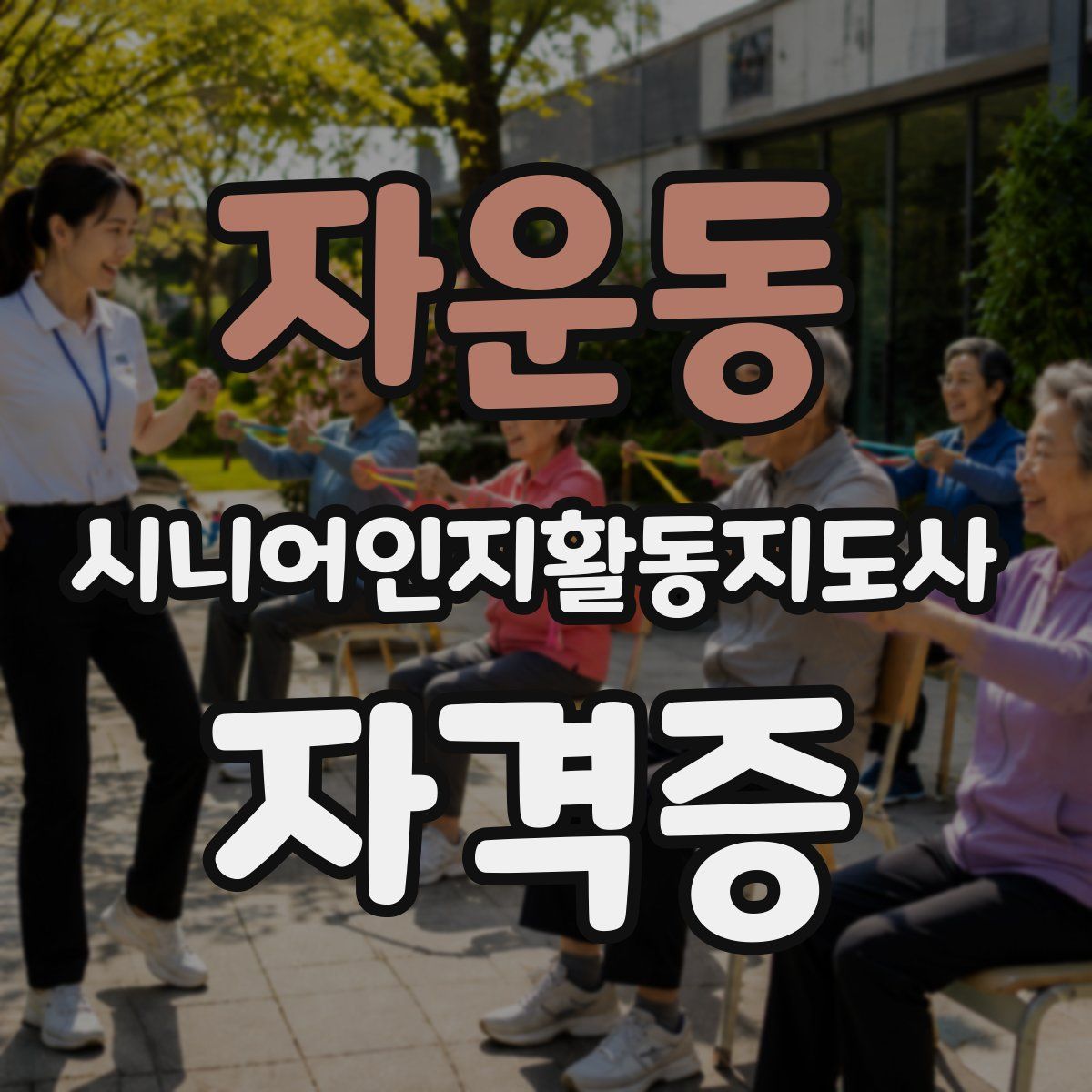 자운동 시니어인지활동지도사 자격증