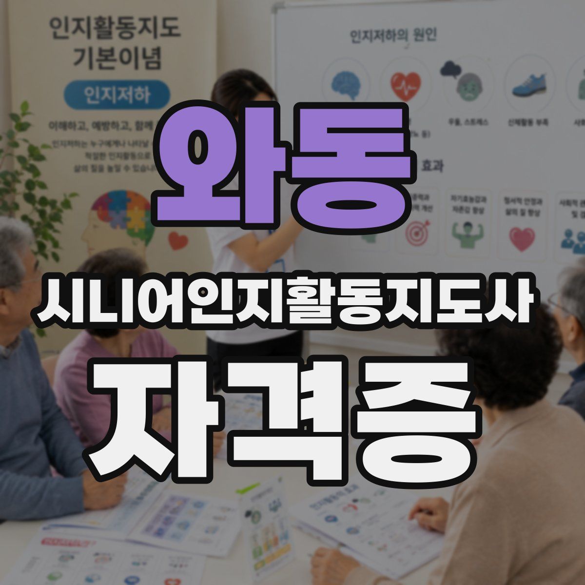 와동 시니어인지활동지도사 자격증