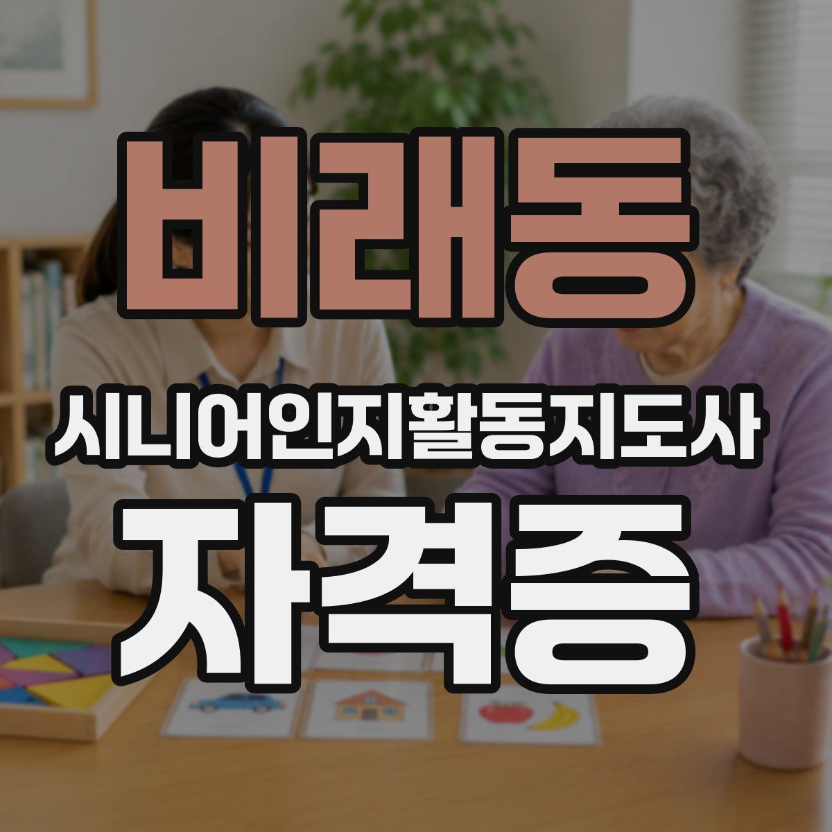 비래동 시니어인지활동지도사 자격증