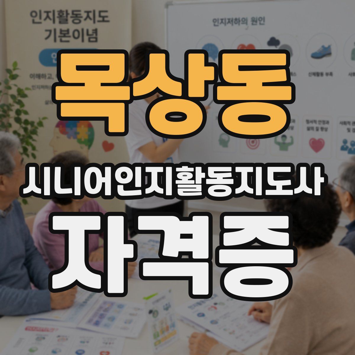 목상동 시니어인지활동지도사 자격증