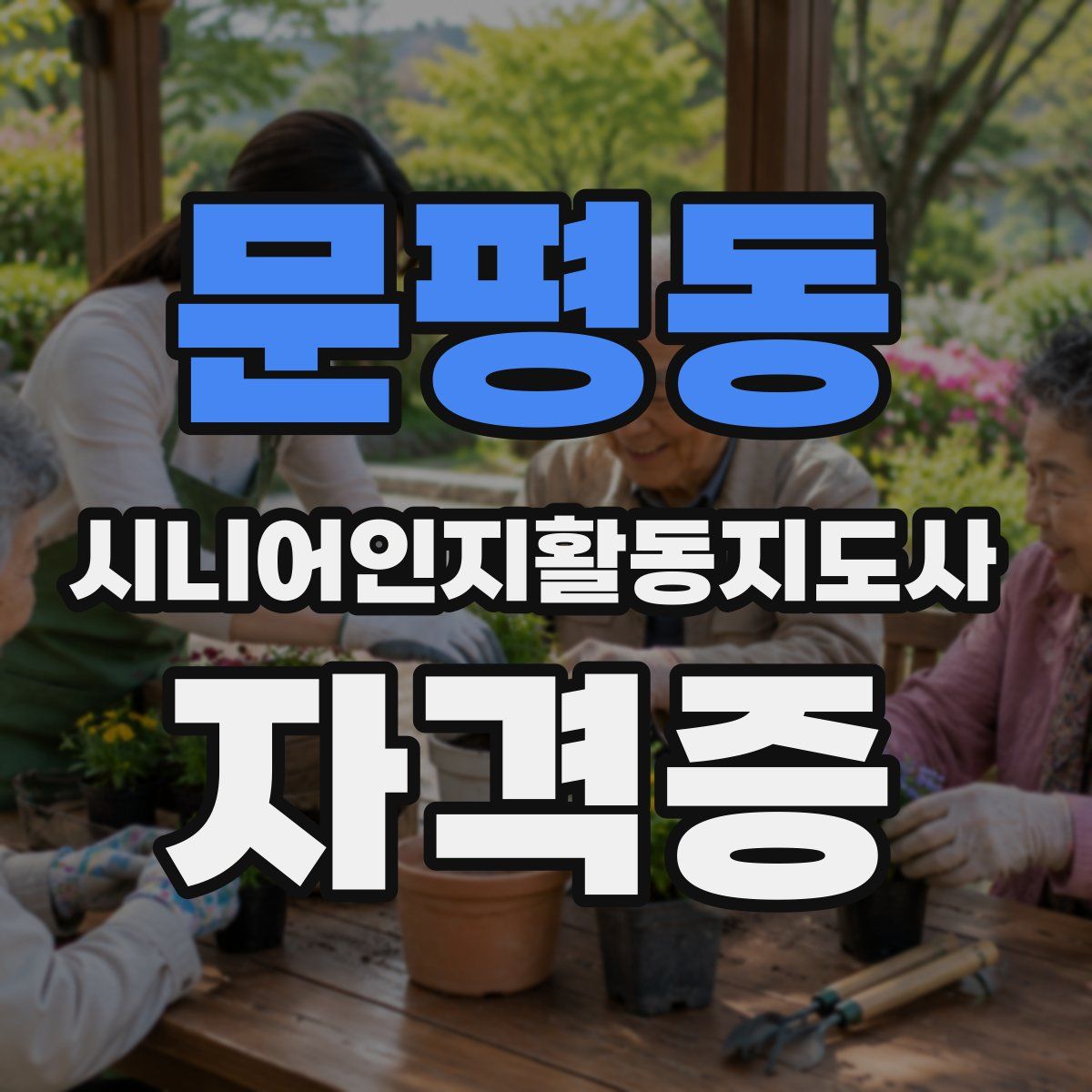 문평동 시니어인지활동지도사 자격증