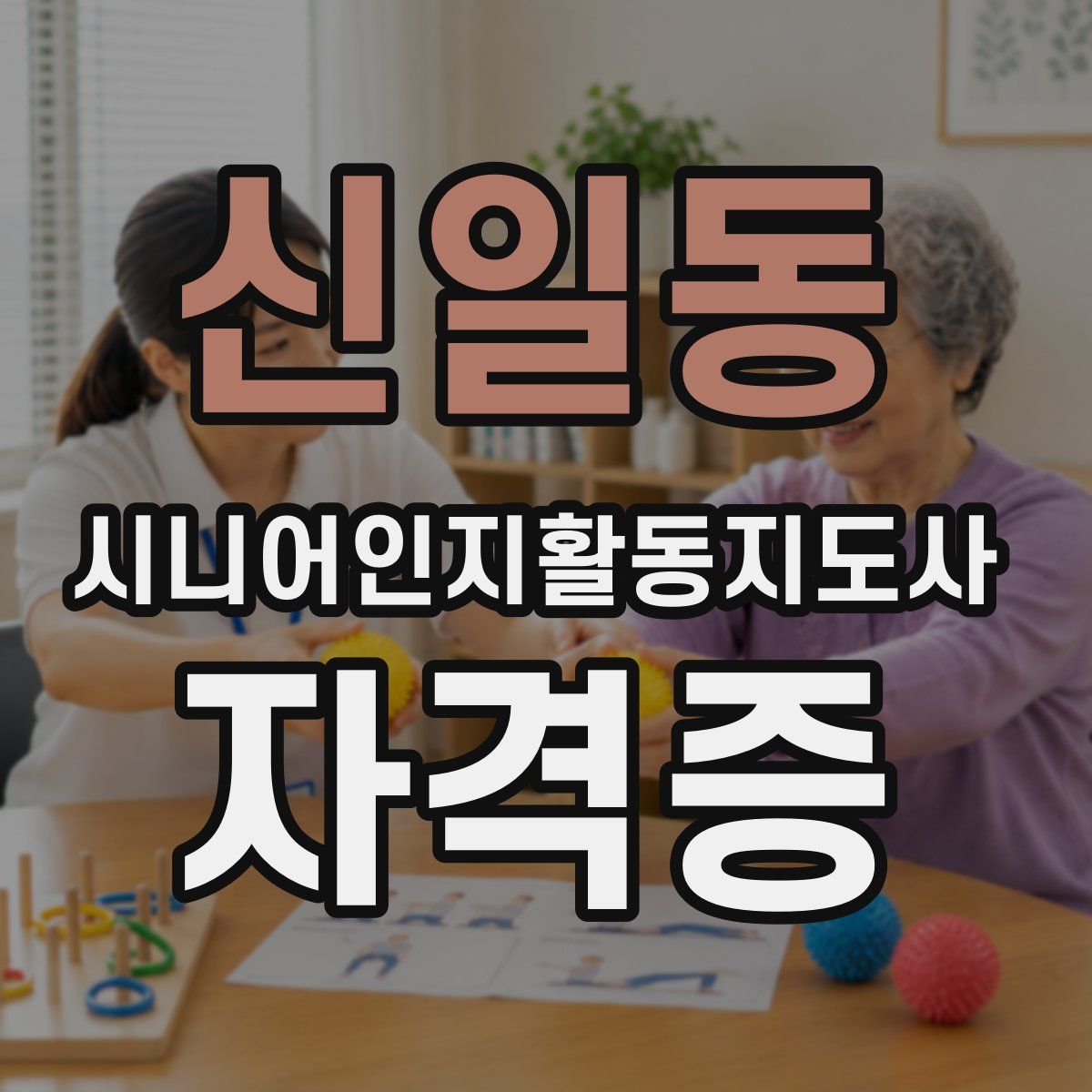 신일동 시니어인지활동지도사 자격증