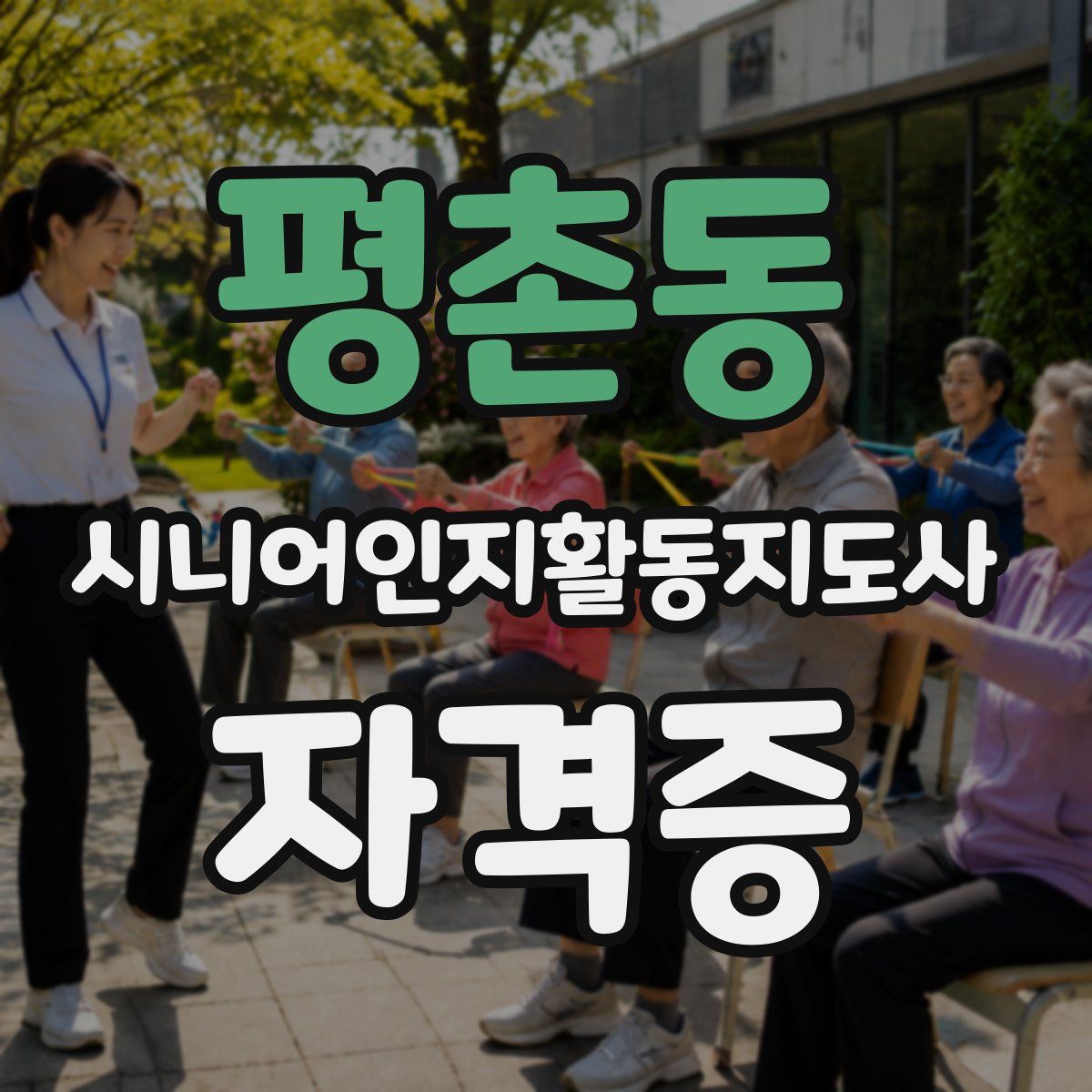평촌동 시니어인지활동지도사 자격증