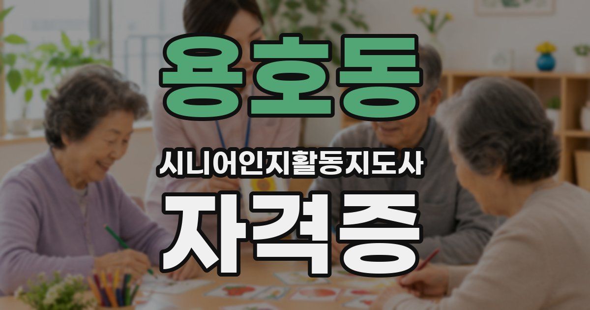 용호동 시니어인지활동지도사 자격증