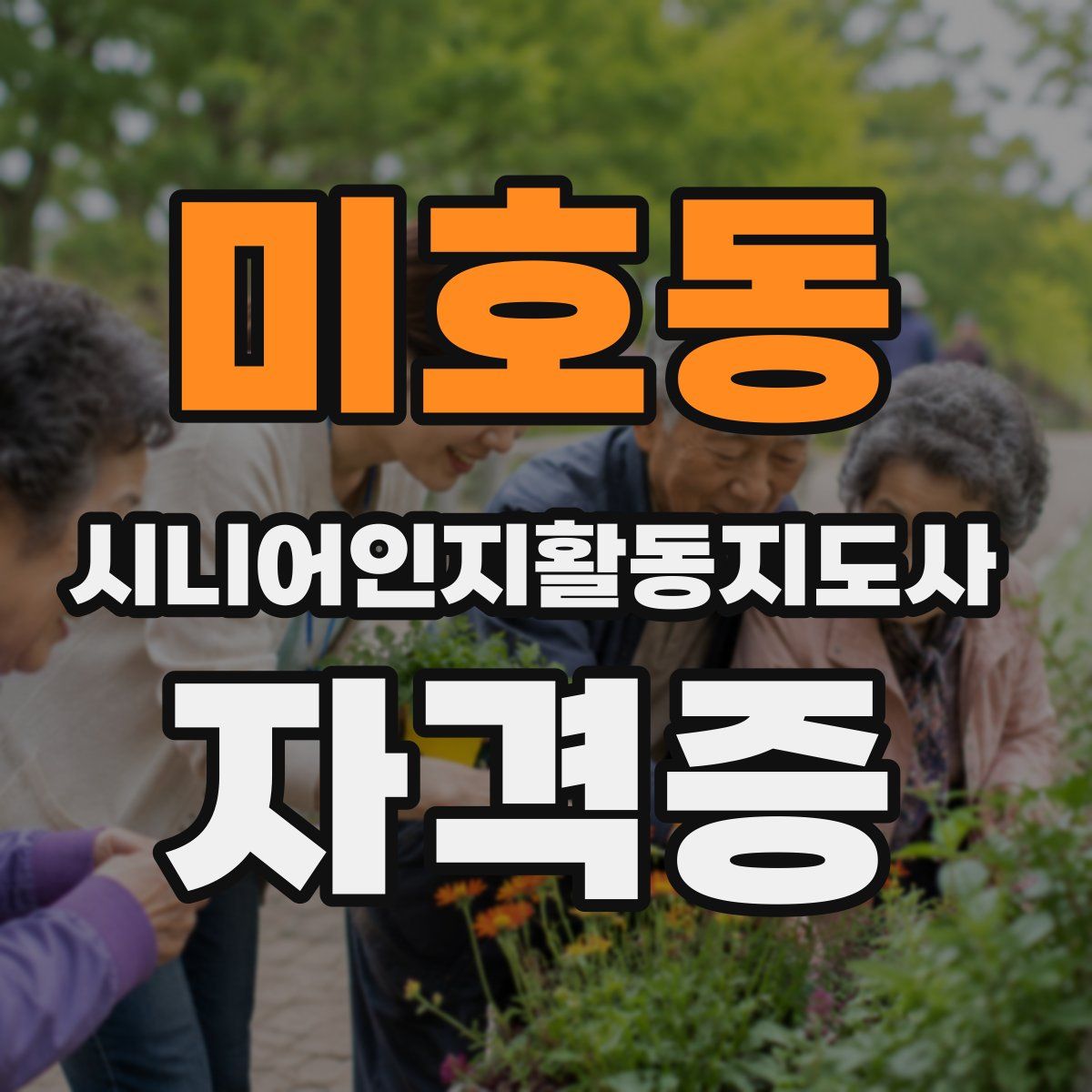 미호동 시니어인지활동지도사 자격증