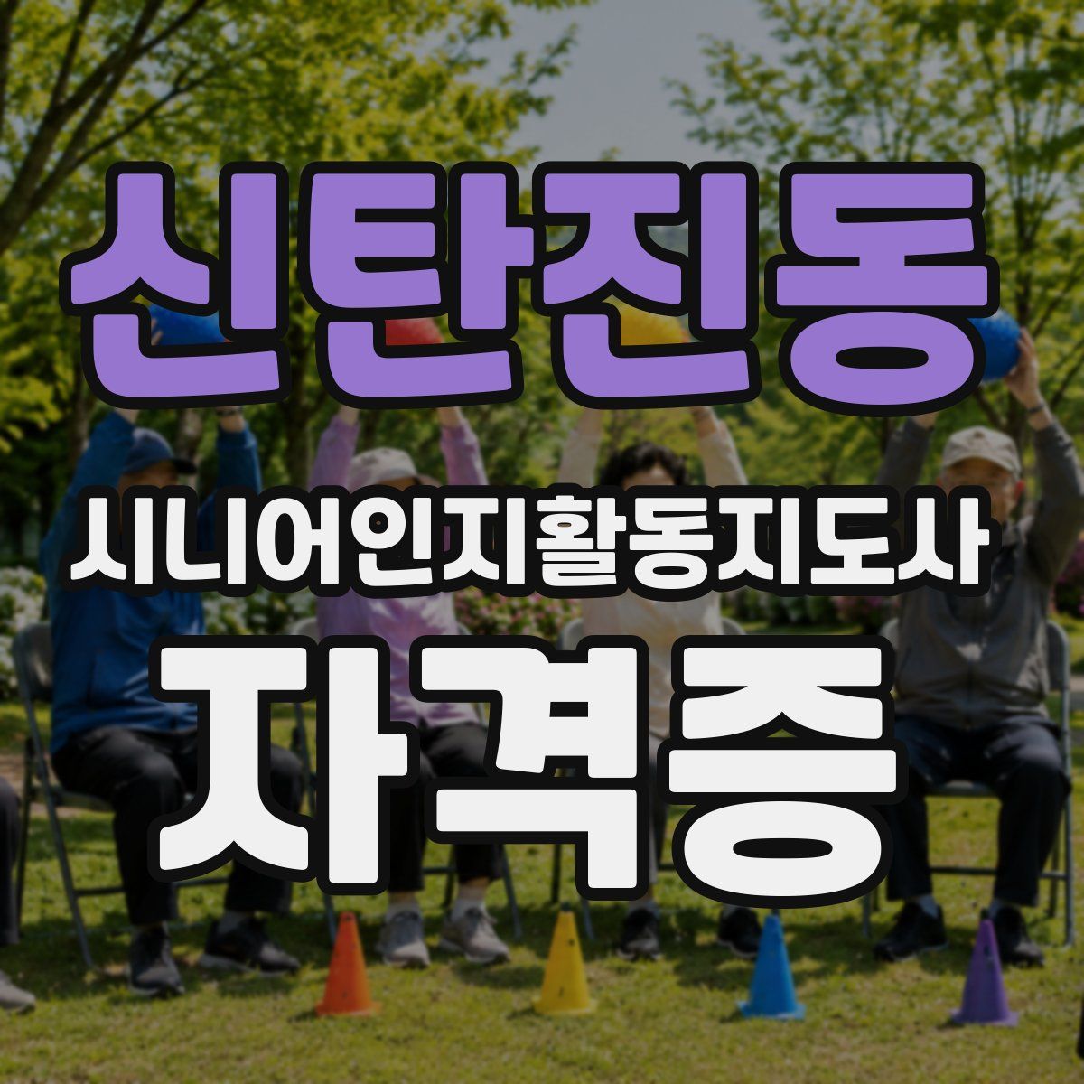 신탄진동 시니어인지활동지도사 자격증
