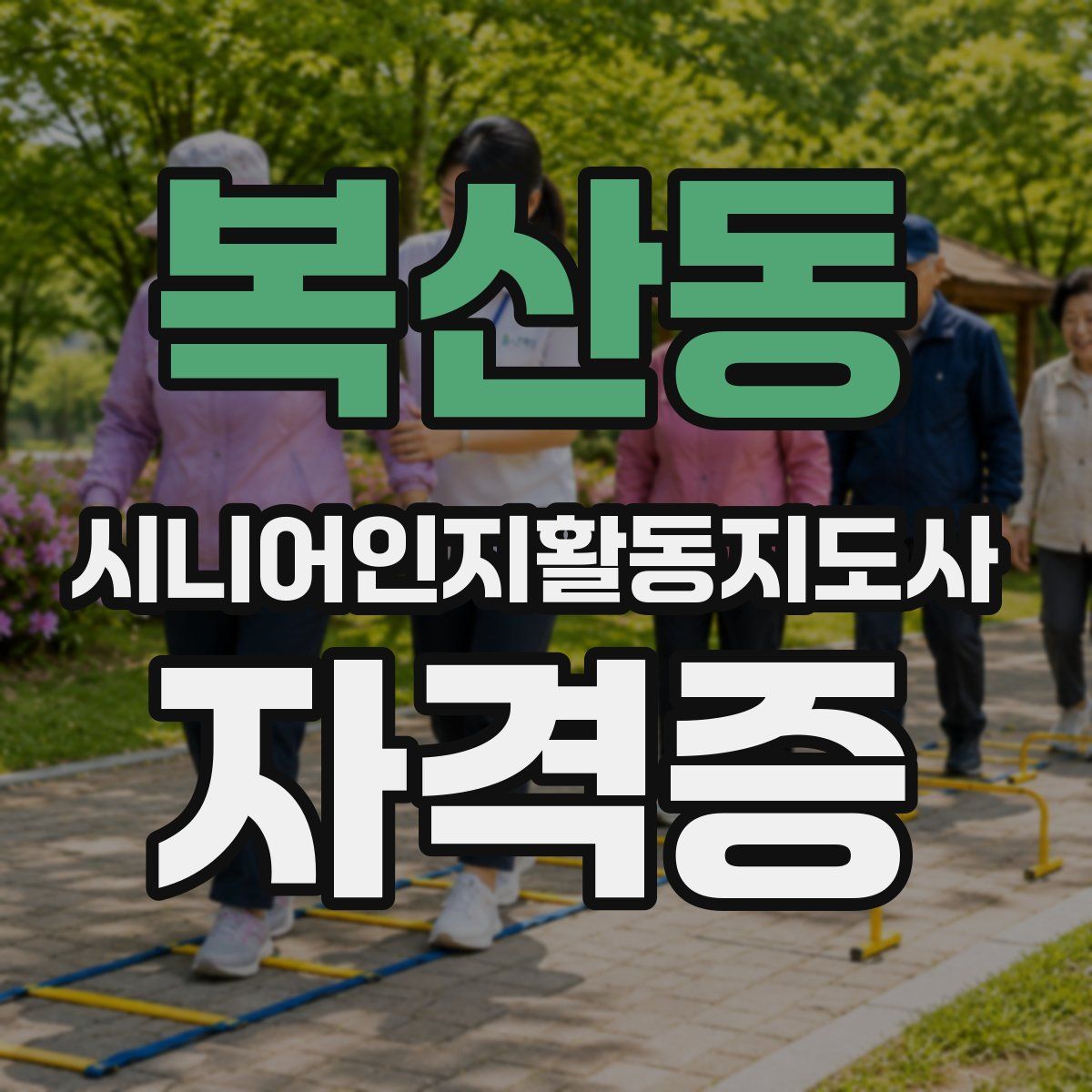 복산동 시니어인지활동지도사 자격증