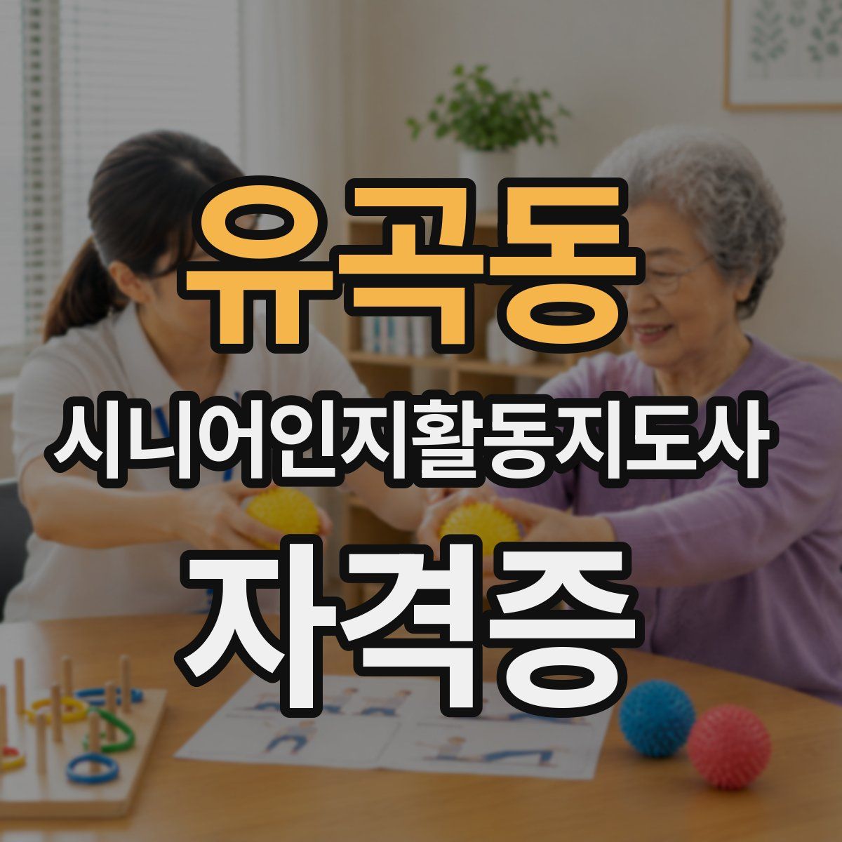 유곡동 시니어인지활동지도사 자격증