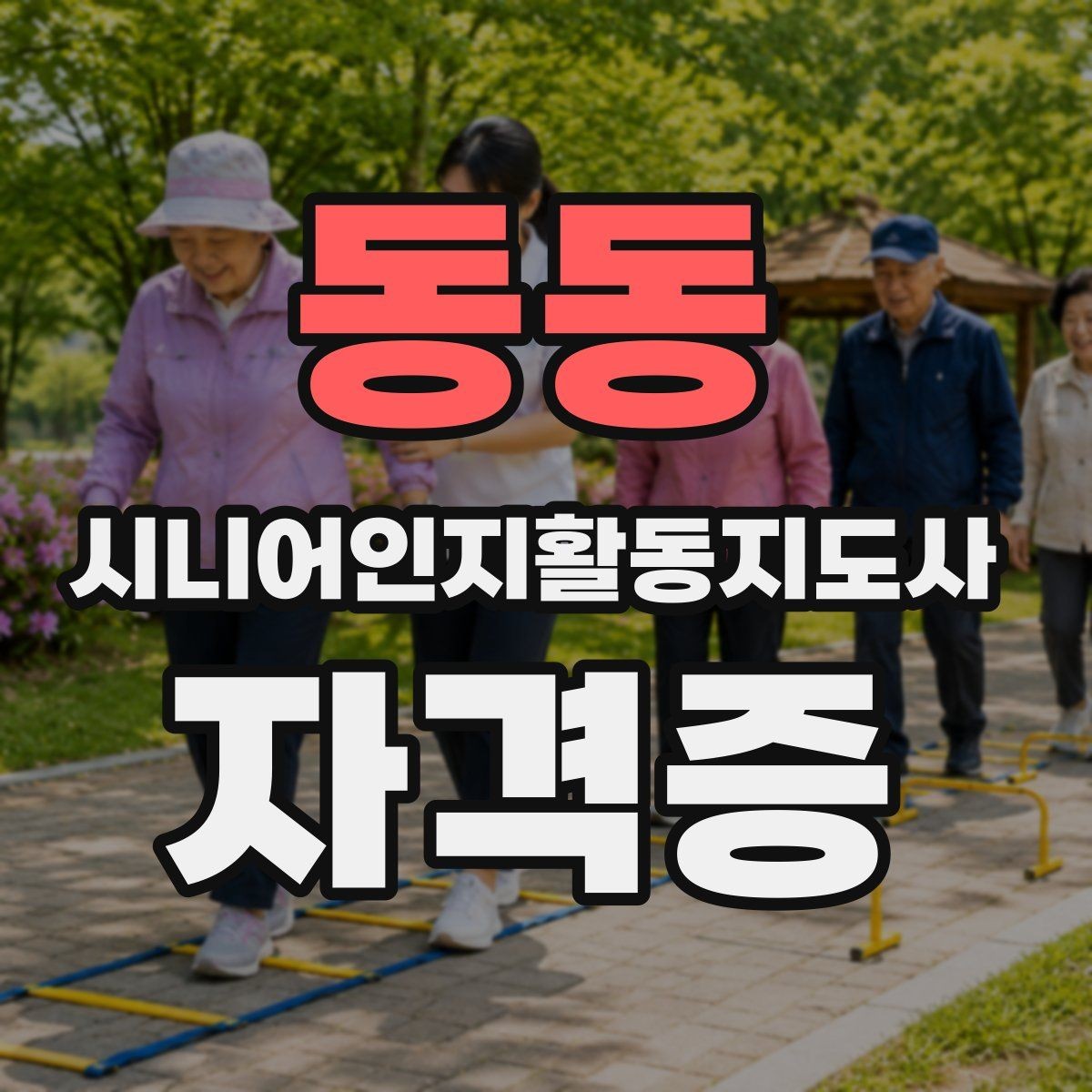 동동 시니어인지활동지도사 자격증 강사 과정과 커리큘럼 개요 살펴보기