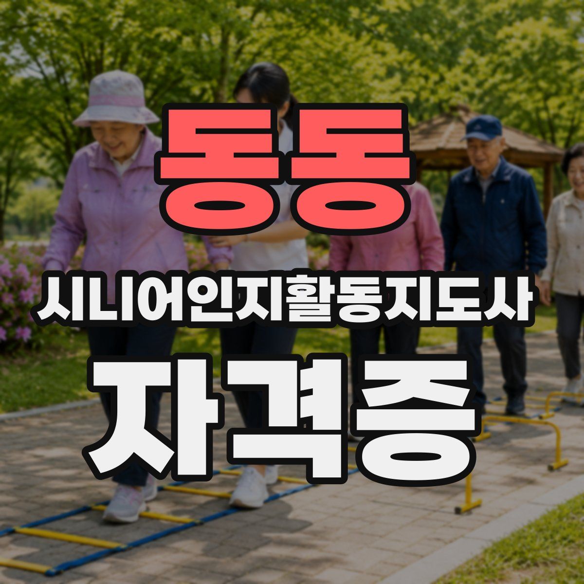 동동 시니어인지활동지도사 자격증
