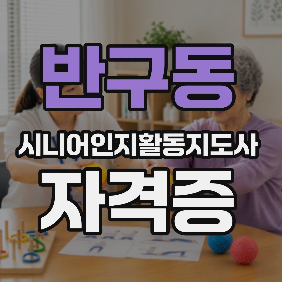 반구동 시니어인지활동지도사 자격증