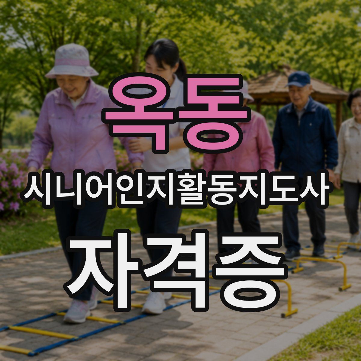 옥동 시니어인지활동지도사 자격증