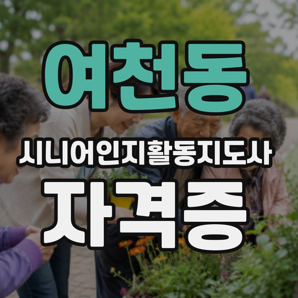여천동 시니어인지활동지도사 자격증