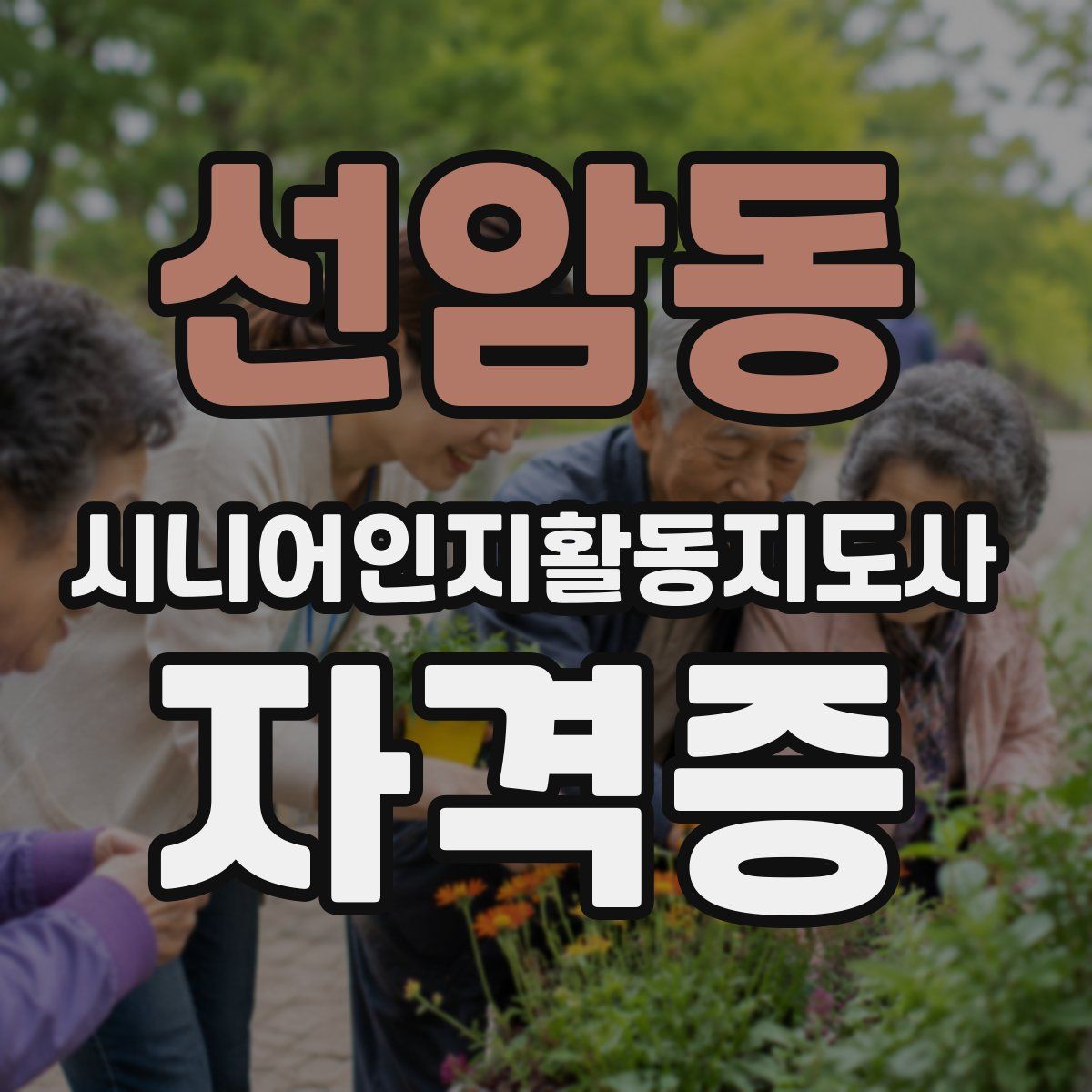 선암동 시니어인지활동지도사 자격증