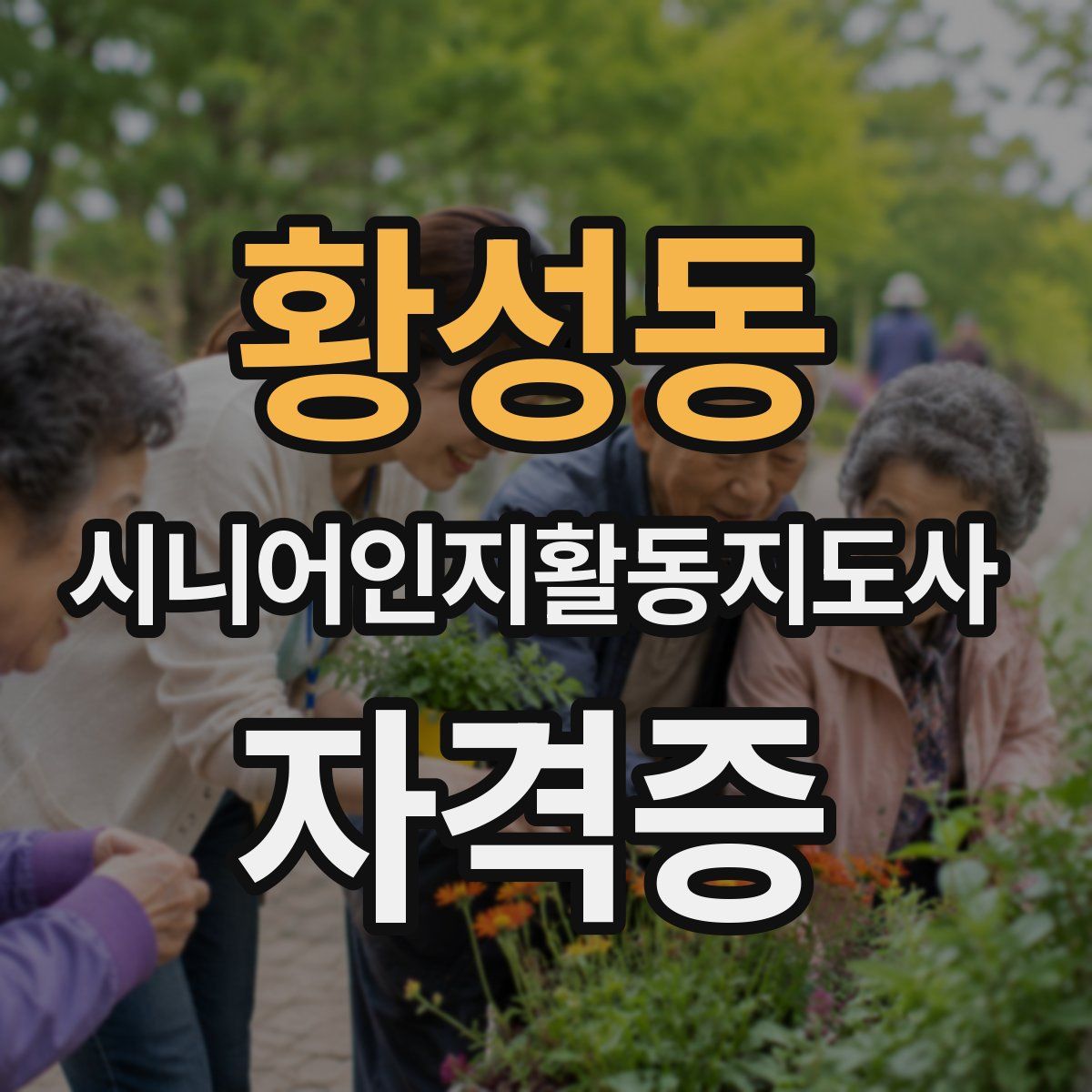 황성동 시니어인지활동지도사 자격증