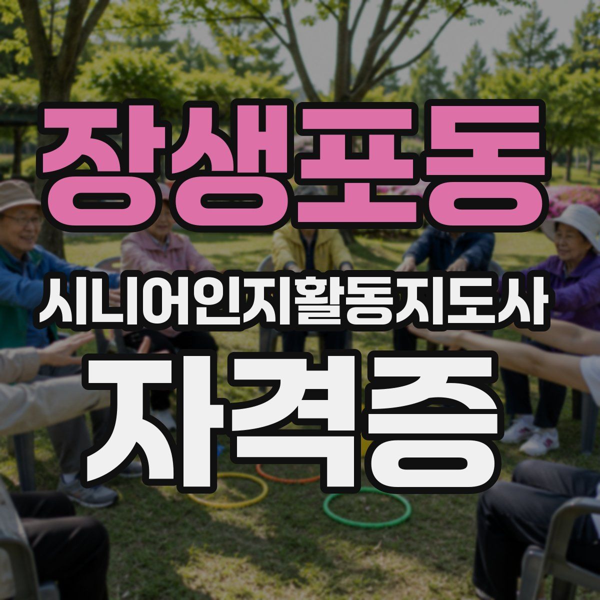 장생포동 시니어인지활동지도사 자격증