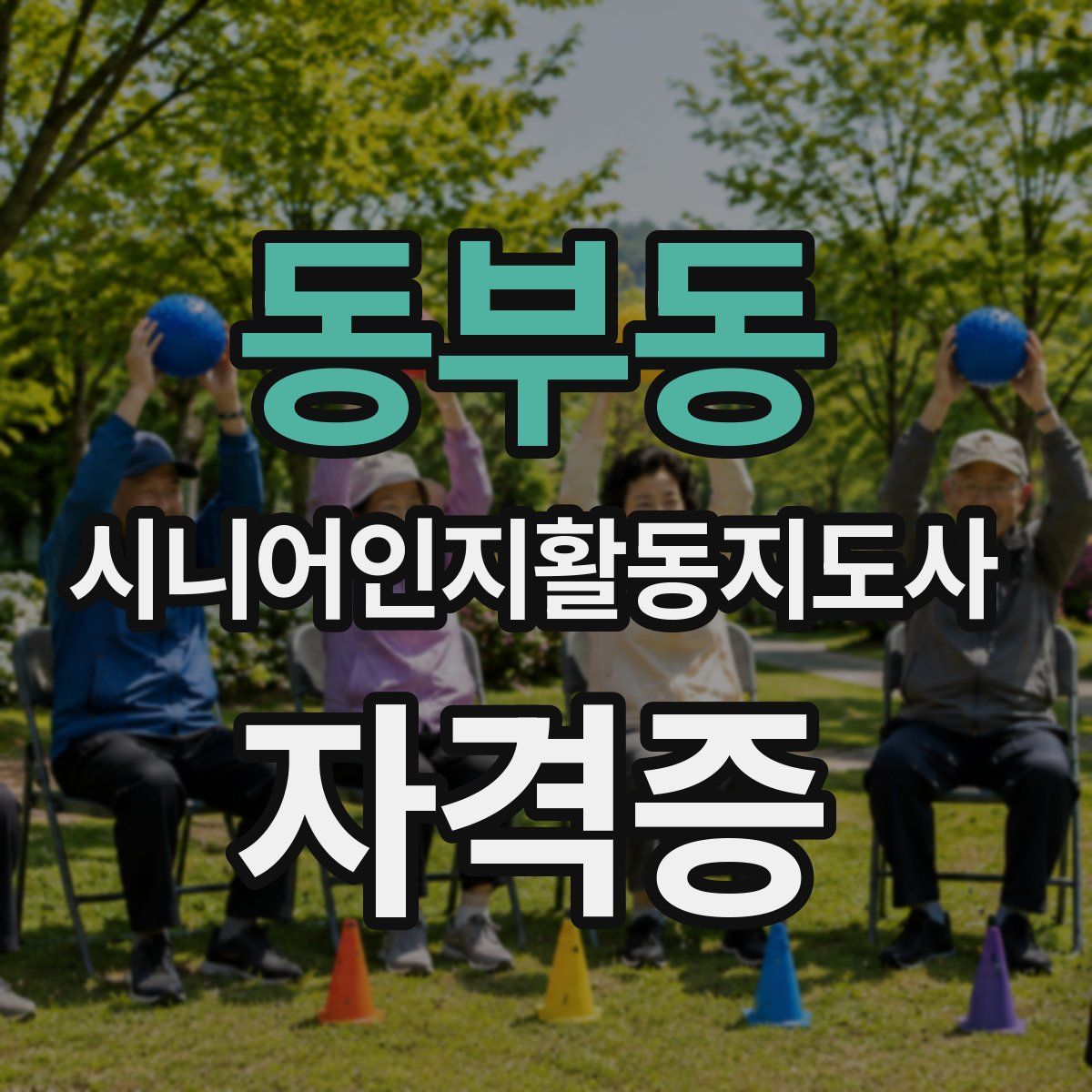 동부동 시니어인지활동지도사 자격증