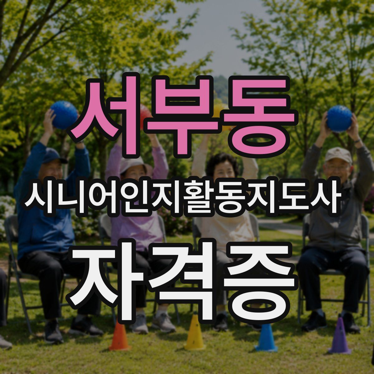 서부동 시니어인지활동지도사 자격증