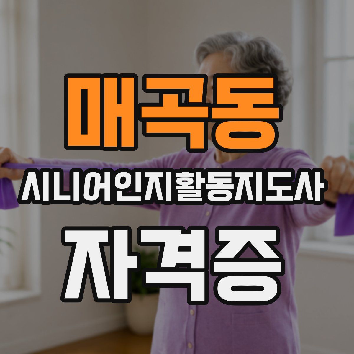 매곡동 시니어인지활동지도사 자격증
