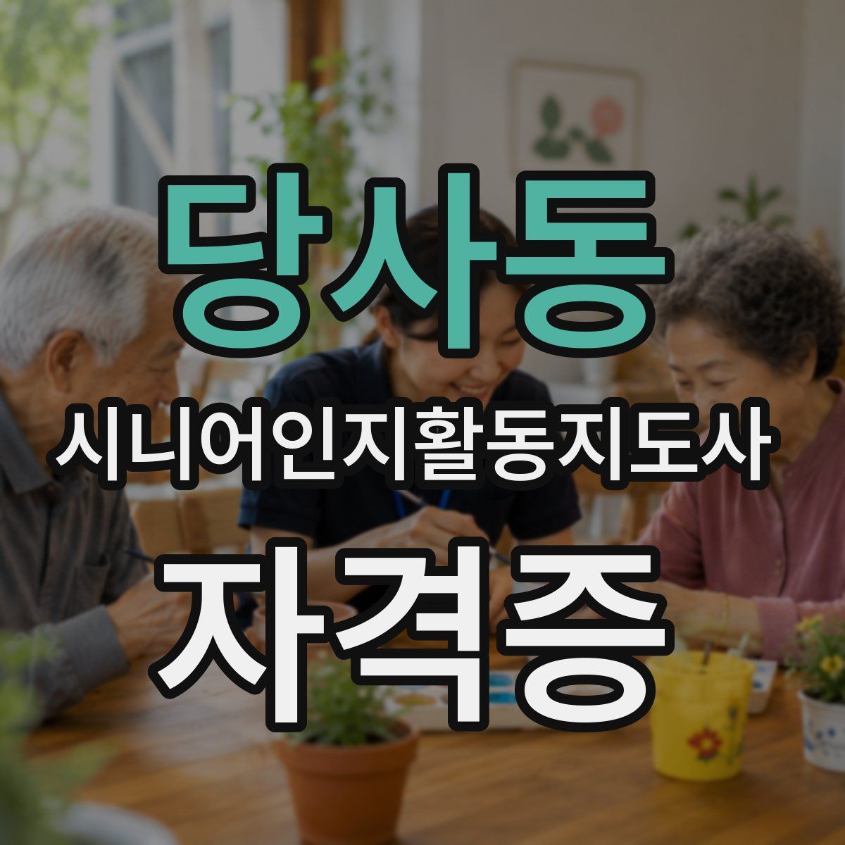 당사동 시니어인지활동지도사 자격증