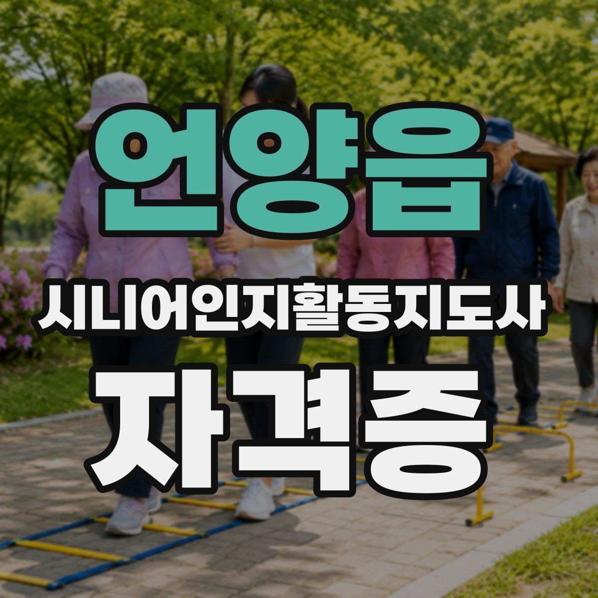언양읍 시니어인지활동지도사 자격증 자격 취득 이후 활용처 정리