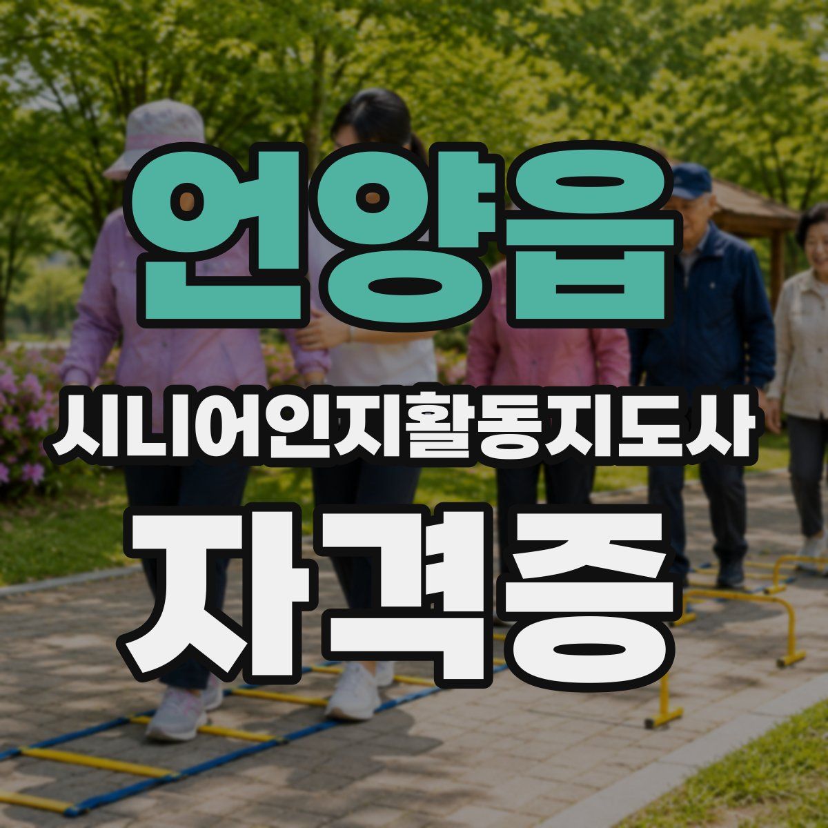 언양읍 시니어인지활동지도사 자격증
