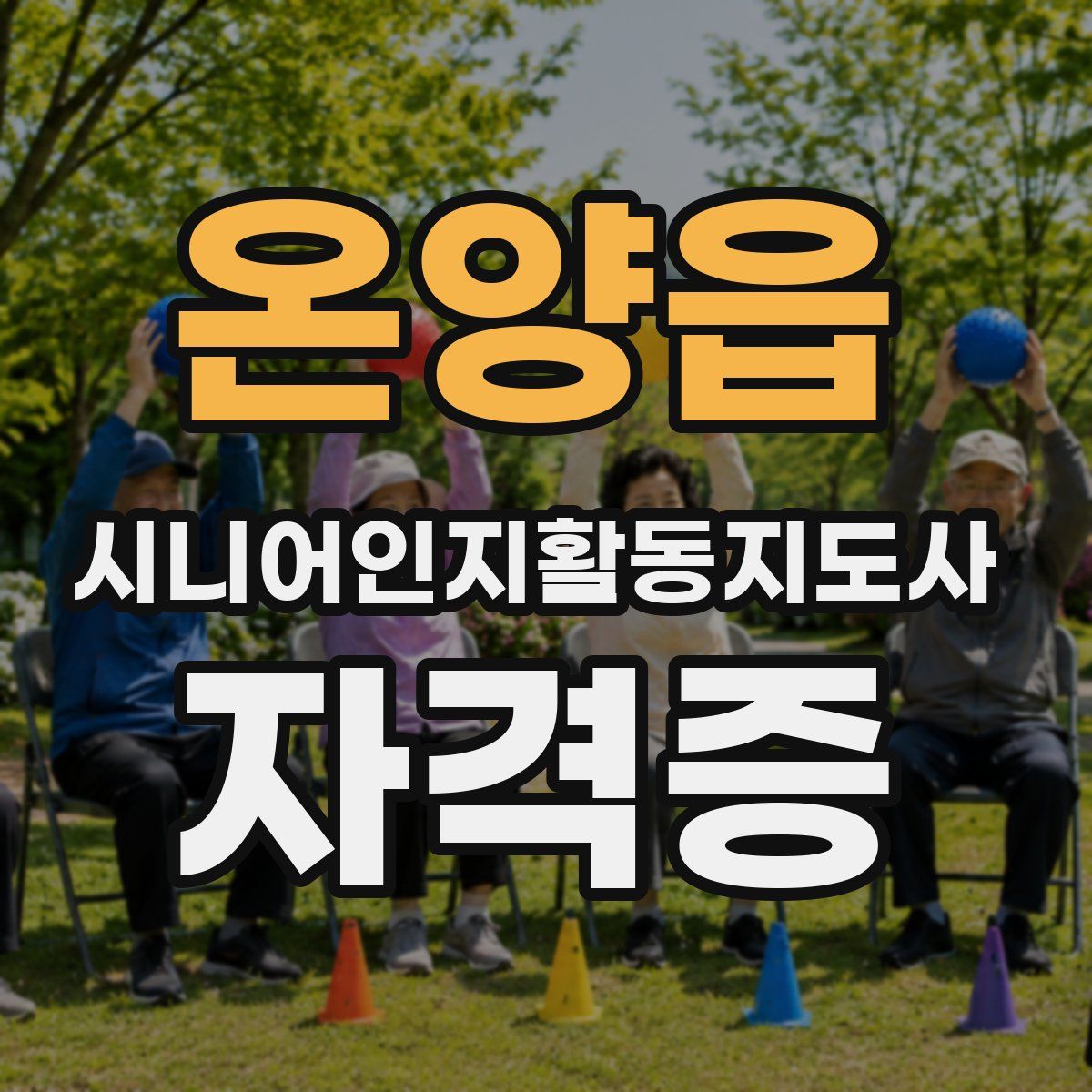 온양읍 시니어인지활동지도사 자격증
