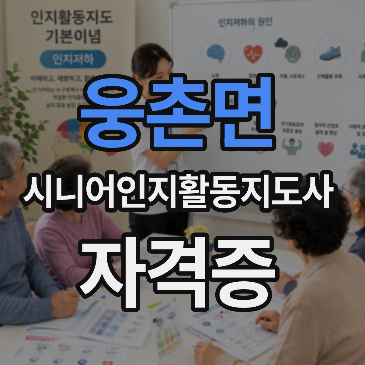 웅촌면 시니어인지활동지도사 자격증 관련 기관과 과정 살펴보기