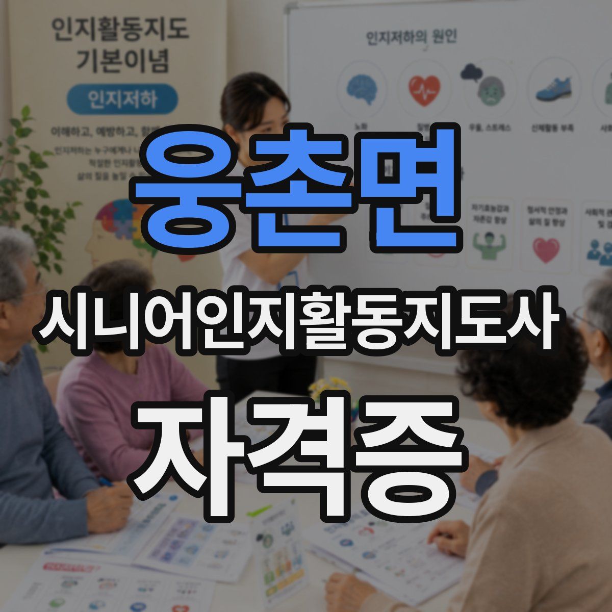 웅촌면 시니어인지활동지도사 자격증