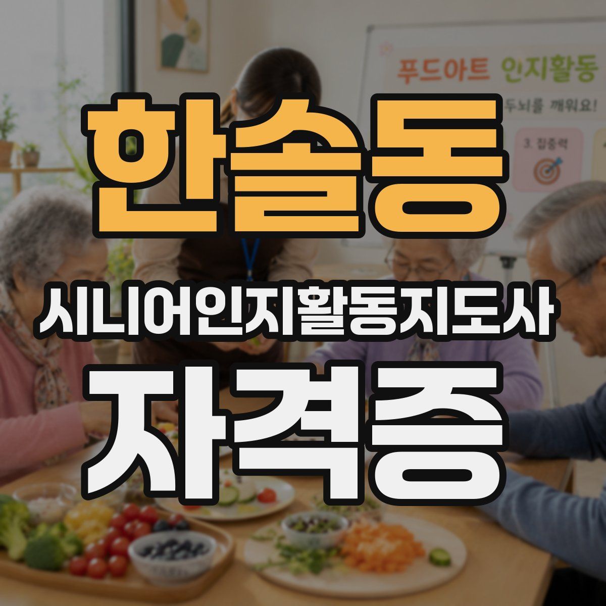 한솔동 시니어인지활동지도사 자격증