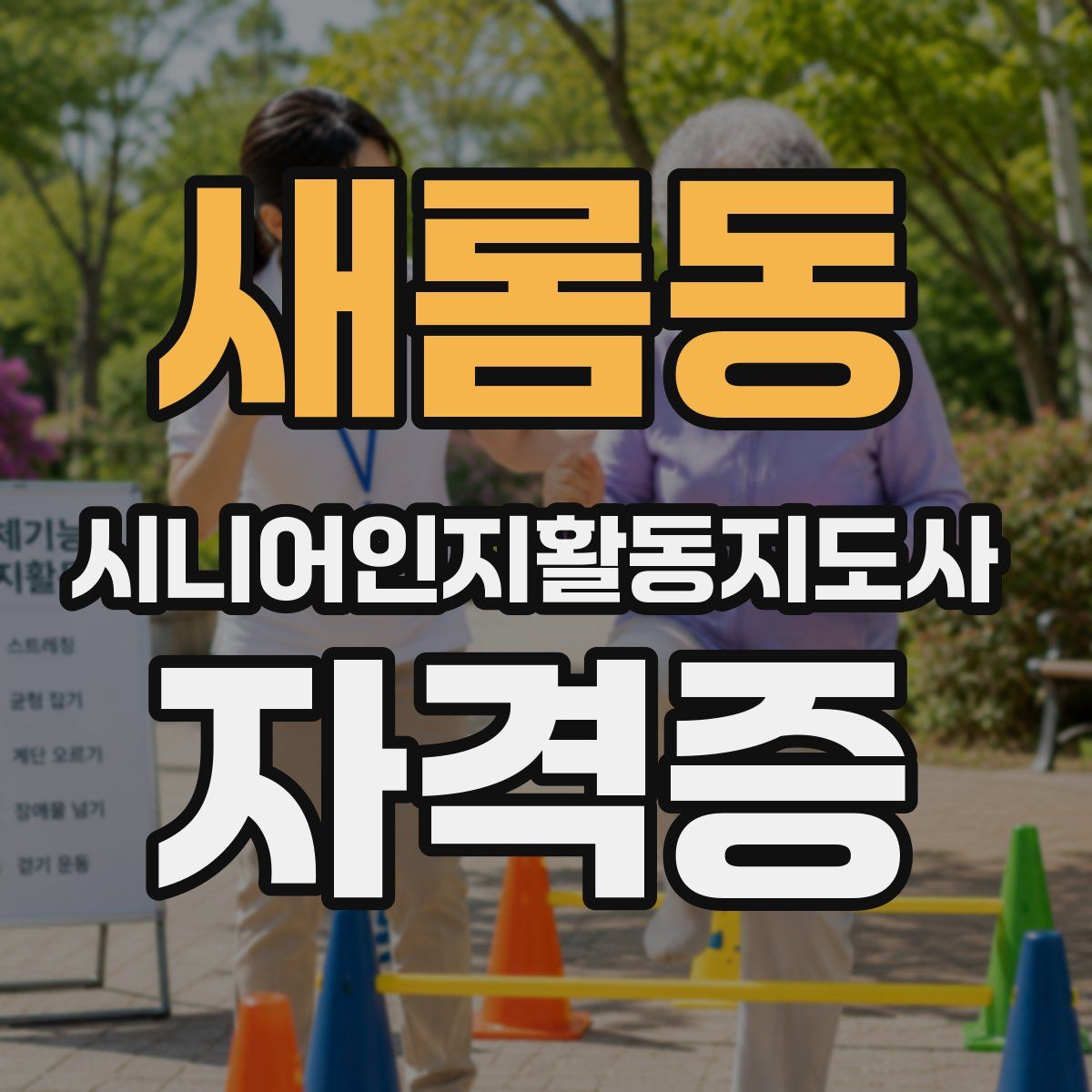 새롬동 시니어인지활동지도사 자격증
