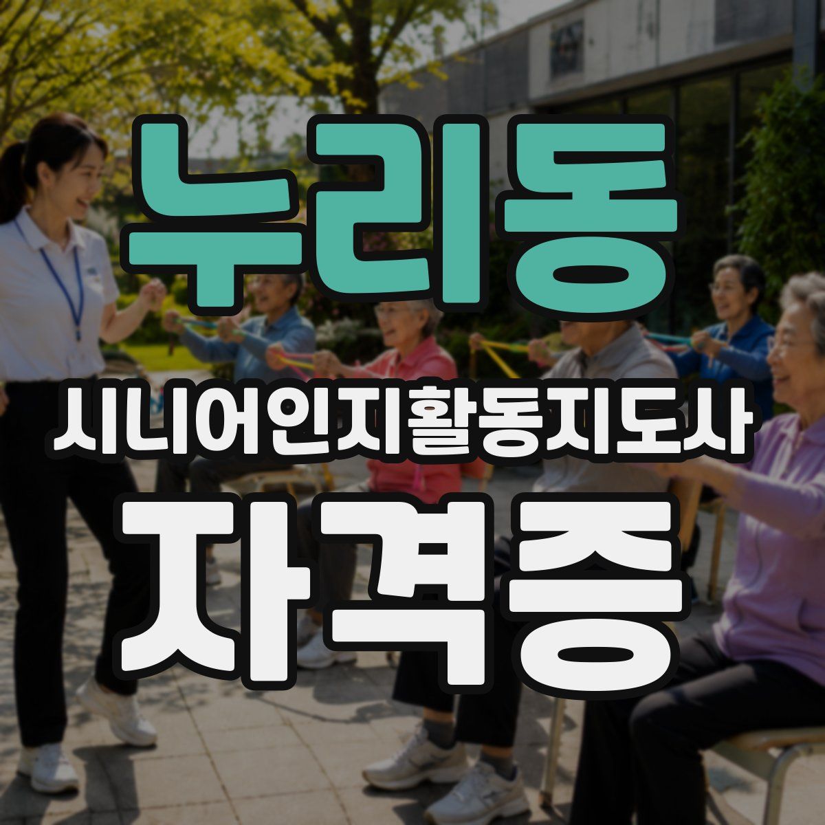 누리동 시니어인지활동지도사 자격증