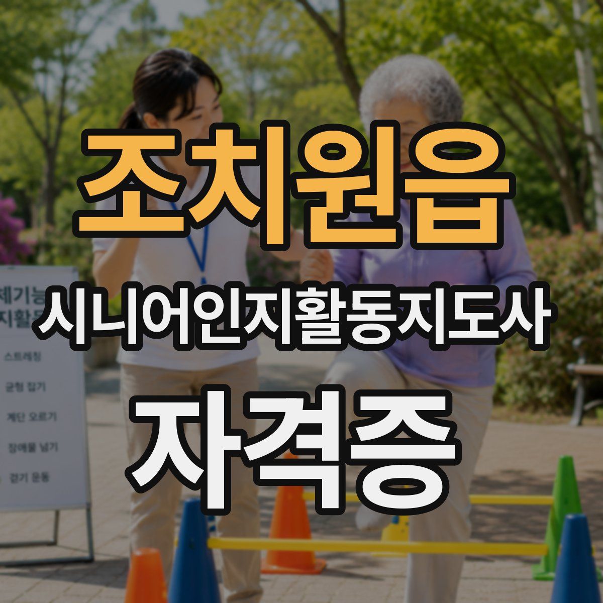 조치원읍 시니어인지활동지도사 자격증