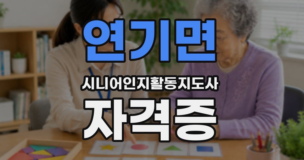 연기면 시니어인지활동지도사 자격증
