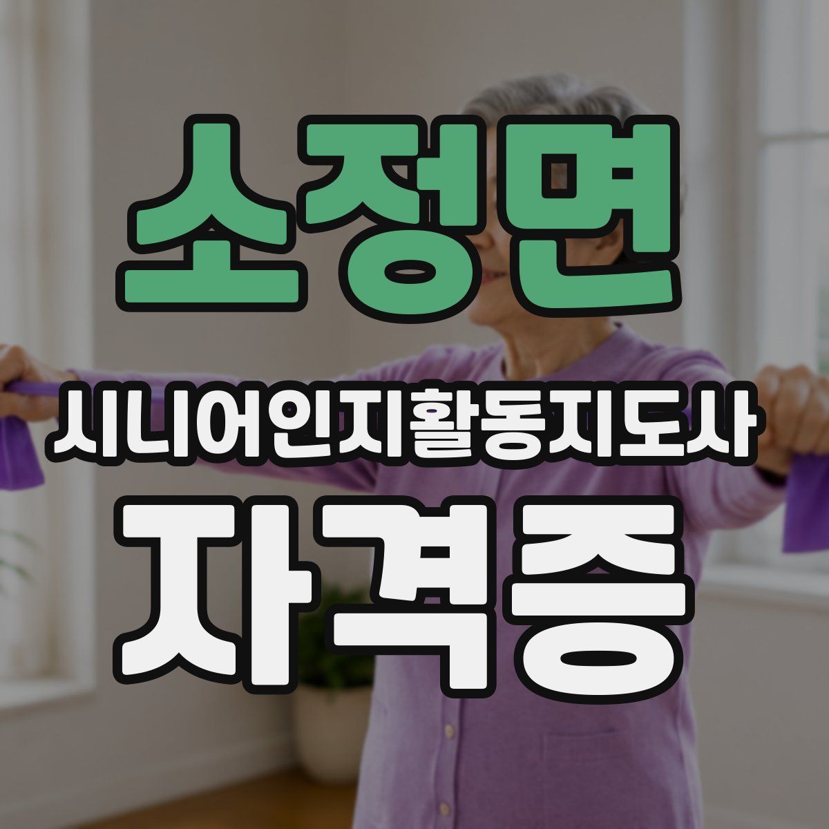 소정면 시니어인지활동지도사 자격증