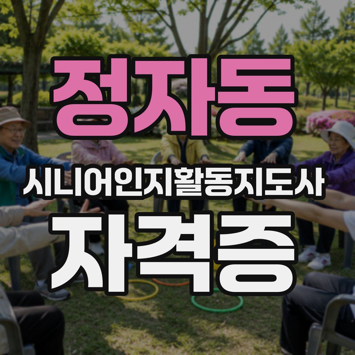 정자동 시니어인지활동지도사 자격증
