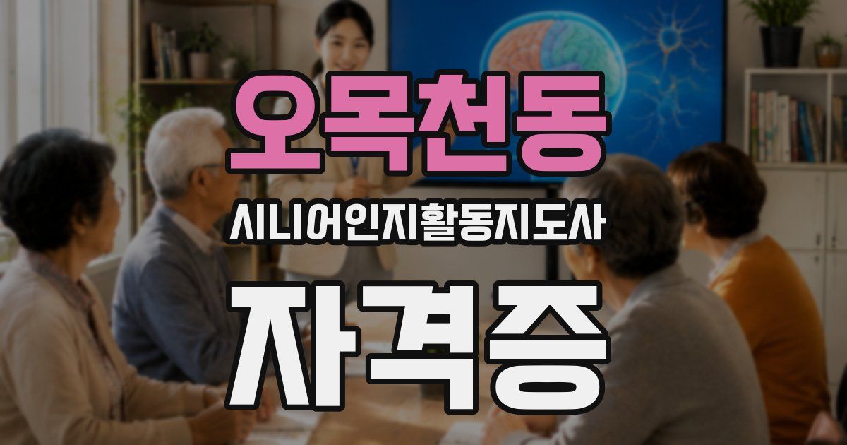 오목천동 시니어인지활동지도사 자격증