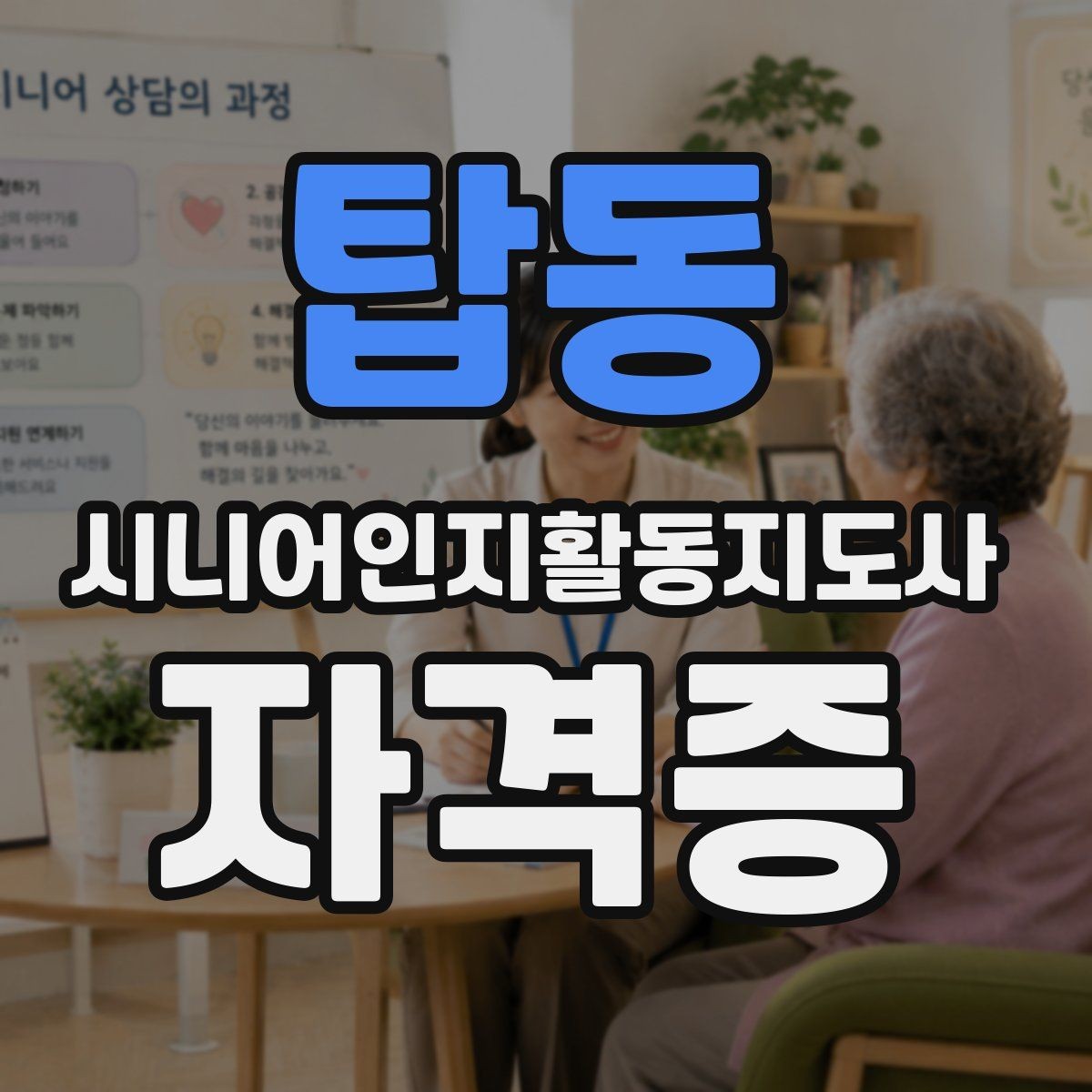 탑동 시니어인지활동지도사 자격증 교육기관 선택 팁