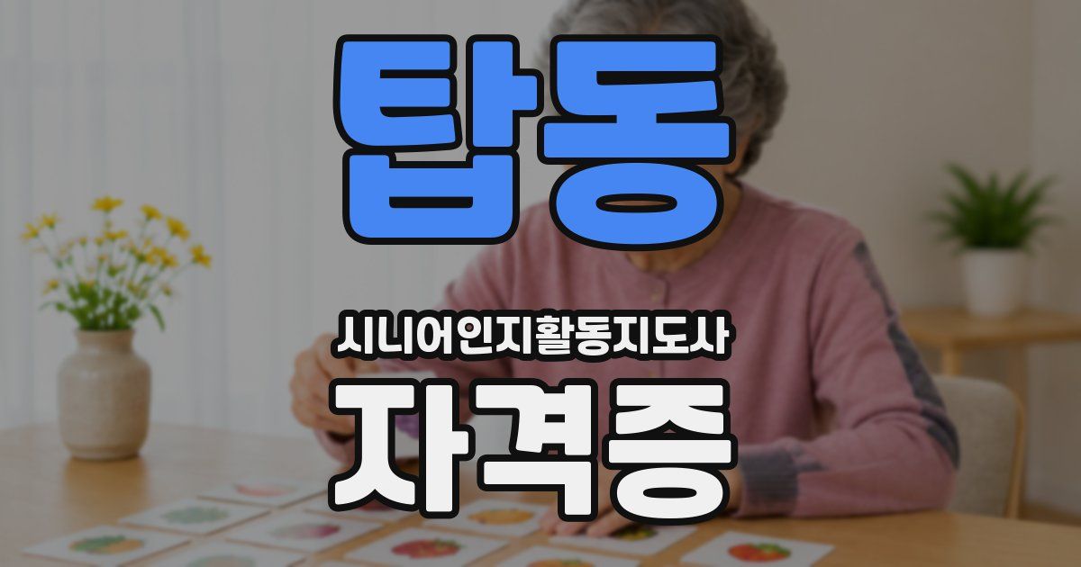 탑동 시니어인지활동지도사 자격증