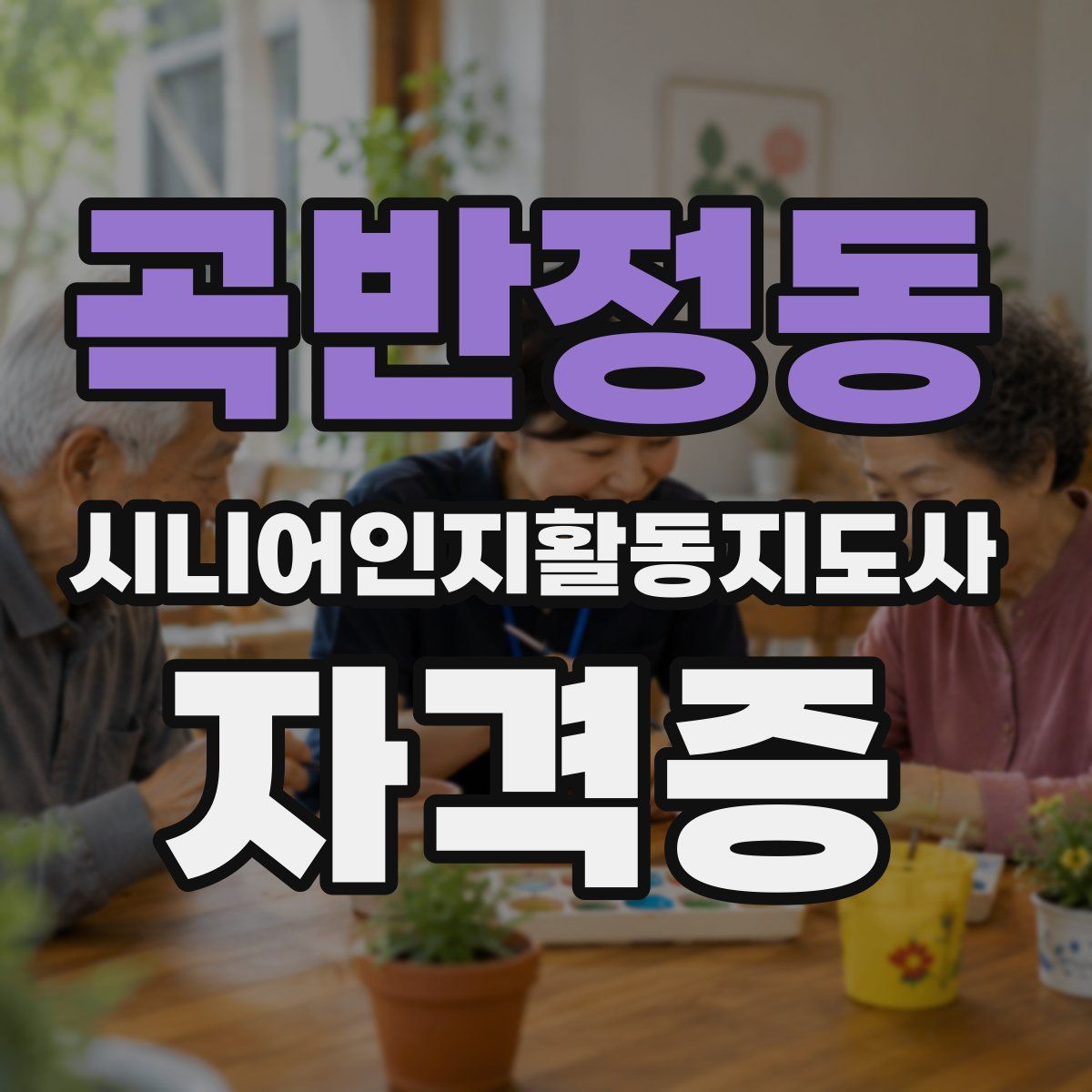곡반정동 시니어인지활동지도사 자격증