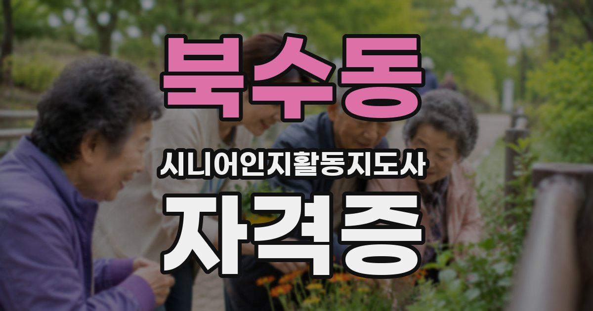 북수동 시니어인지활동지도사 자격증
