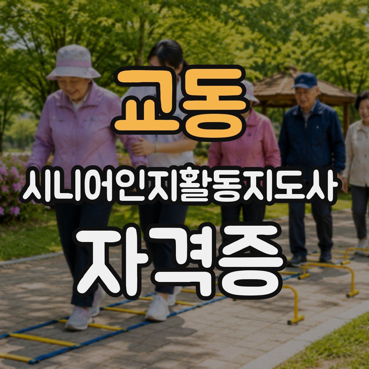 교동 시니어인지활동지도사 자격증