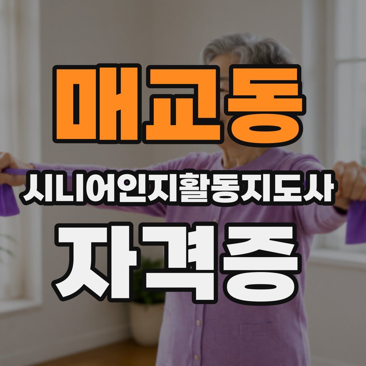 매교동 시니어인지활동지도사 자격증