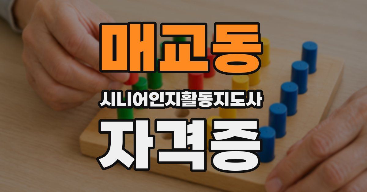 매교동 시니어인지활동지도사 자격증