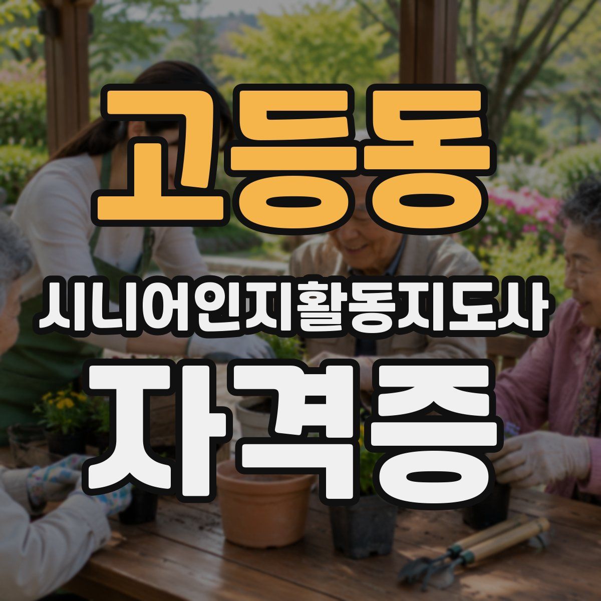 고등동 시니어인지활동지도사 자격증