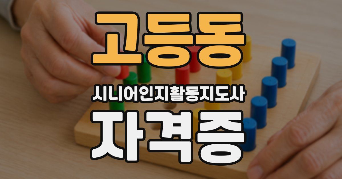 고등동 시니어인지활동지도사 자격증