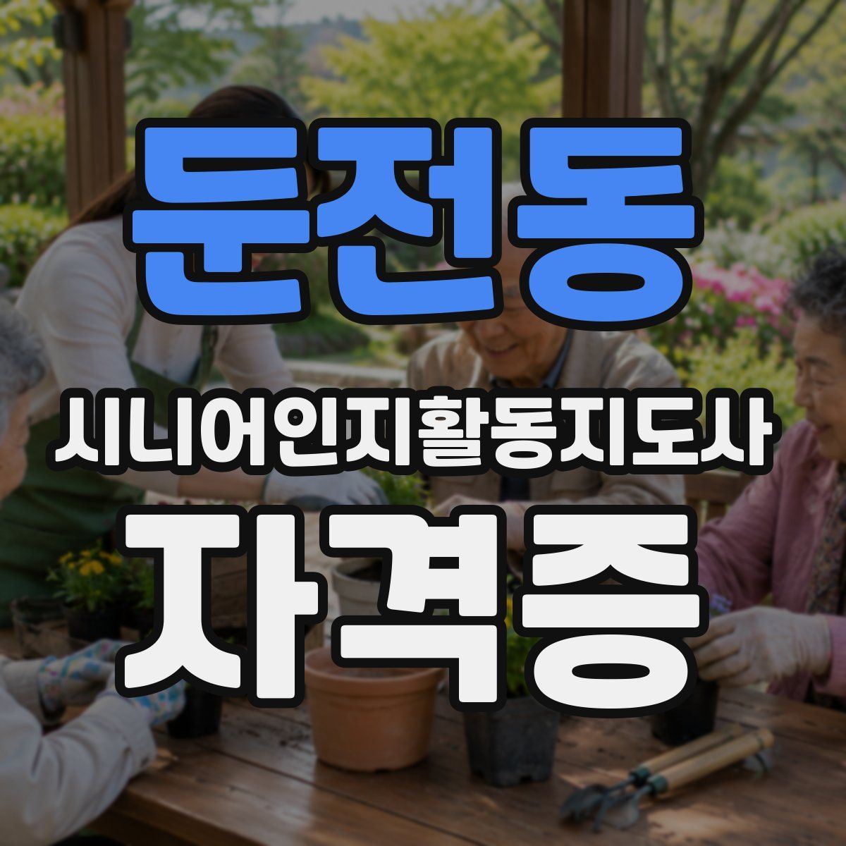 둔전동 시니어인지활동지도사 자격증