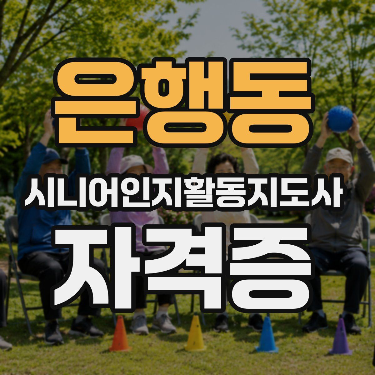 은행동 시니어인지활동지도사 자격증