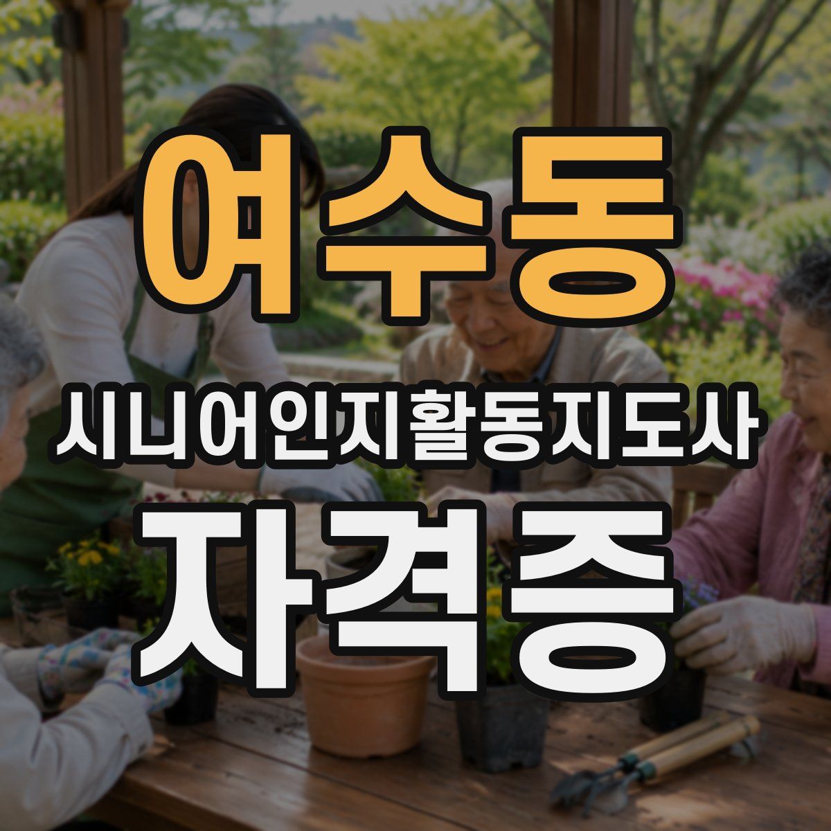 여수동 시니어인지활동지도사 자격증